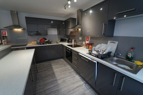 DSC09551 – flat 1 kitchen 1_800x533